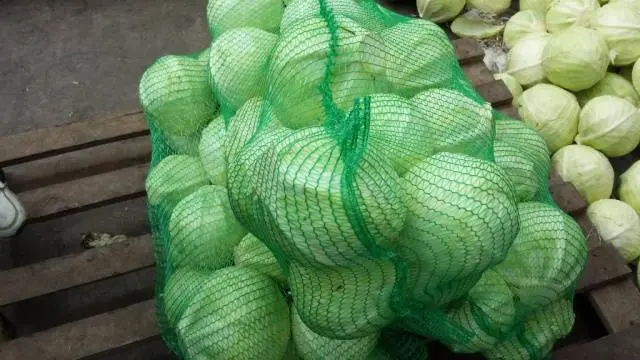 Cabbage Ankoma