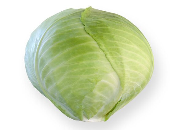 Cabbage Ankoma