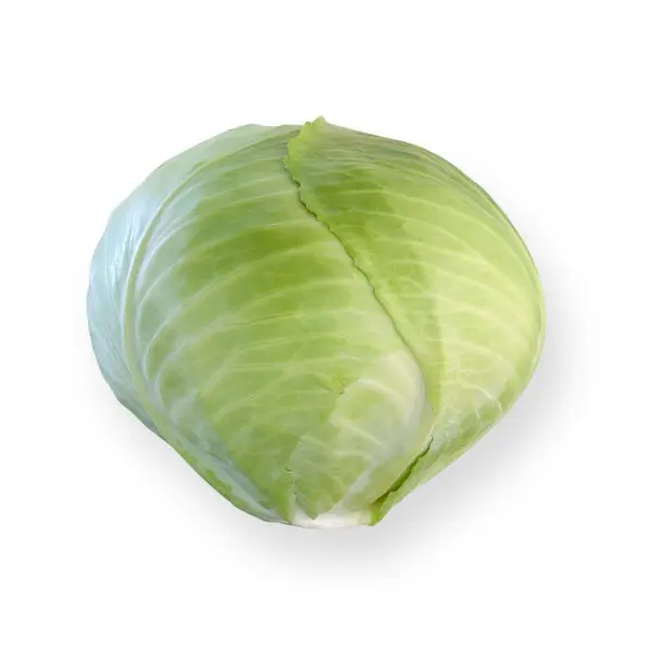 Cabbage Ankoma