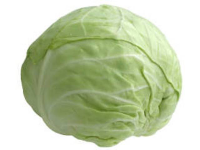 Cabbage Atria F1