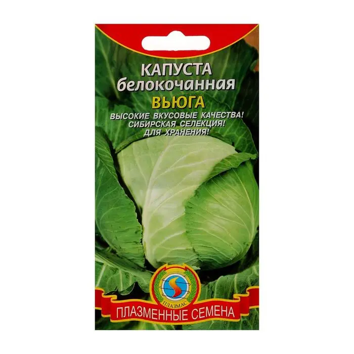 Cabbage Blizzard