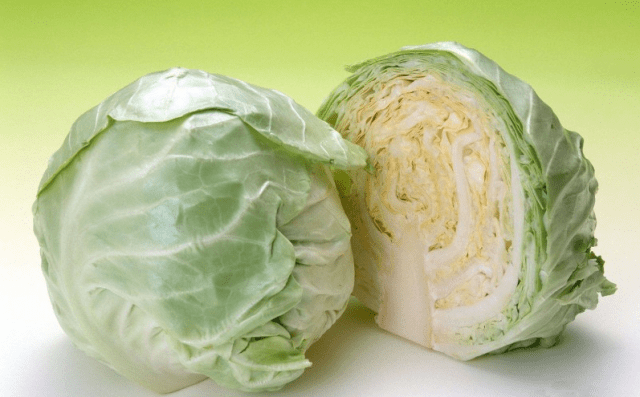 Cabbage Bronco F1