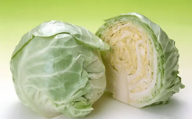 Cabbage Bronco F1