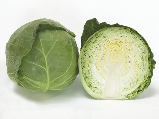 Cabbage Bronco F1