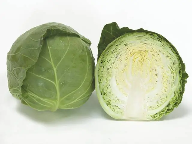 Cabbage Bronco F1