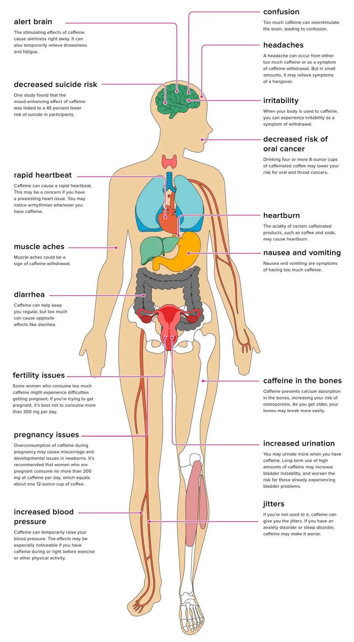 Caffeine &#8211; sources, properties, effect on the body. Is caffeine addictive?