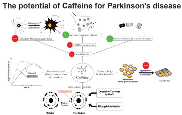 Caffeine will help you recognize Parkinson&#8217;s