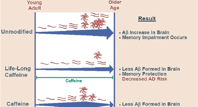 Caffeine will protect against Alzheimer&#8217;s?