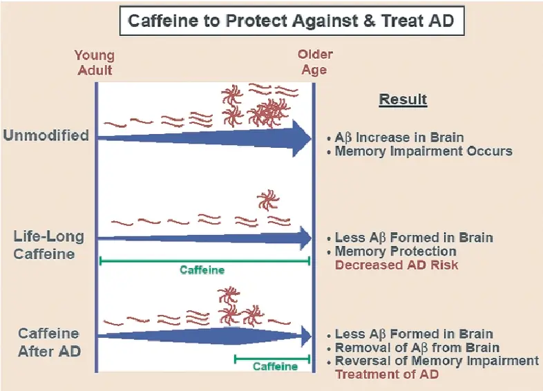 Caffeine will protect against Alzheimer&#8217;s?