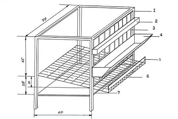 Cage dimensions for laying hens + drawings