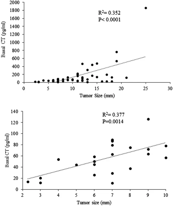 Calcitonin (CT) &#8211; what kind of test is it, when to do it, analysis of the results