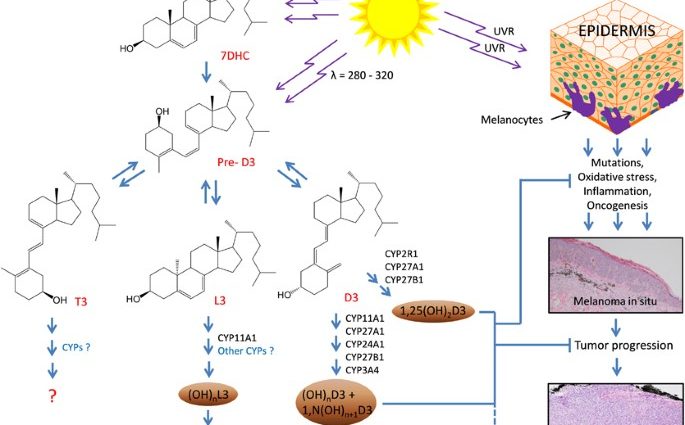 Calcium and Vitamin D may protect against melanoma