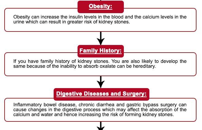 Calcium oxalates in urine &#8211; what they are, how they are formed, the norm in children and adults, diet