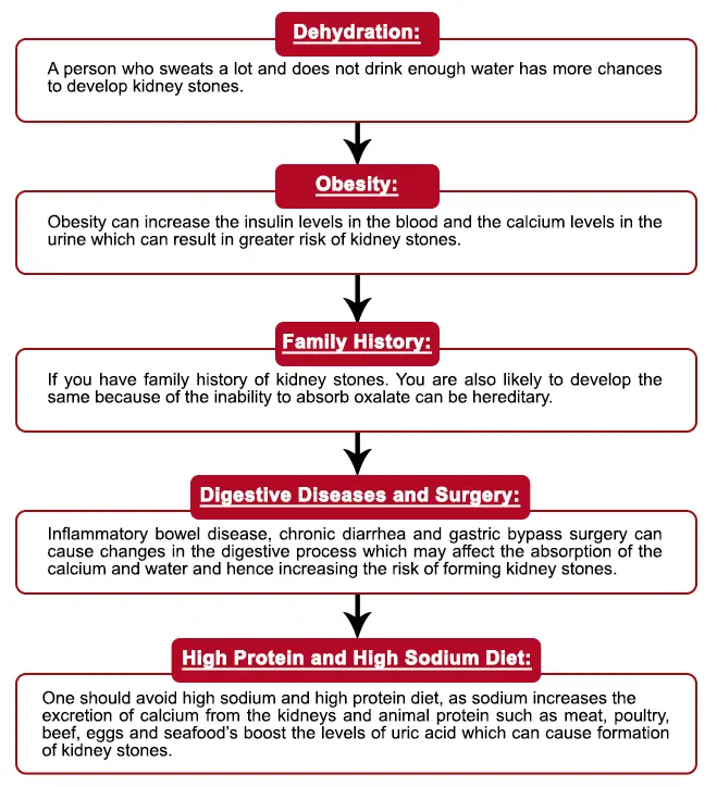 Calcium oxalates in urine &#8211; what they are, how they are formed, the norm in children and adults, diet