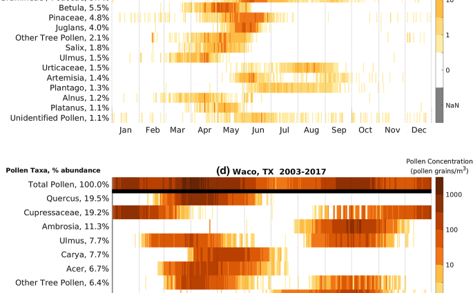 Calendar of plant pollen in Poland [INFOGRAPHIC]