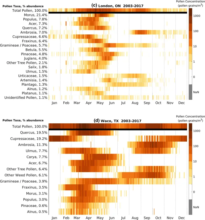 Calendar of plant pollen in Poland [INFOGRAPHIC]