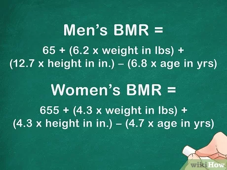 Caloric demand calculator &#8211; what is it and how to calculate it?