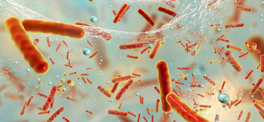 Campylobacter &#8211; Salmonellla&#8217;s underestimated rival