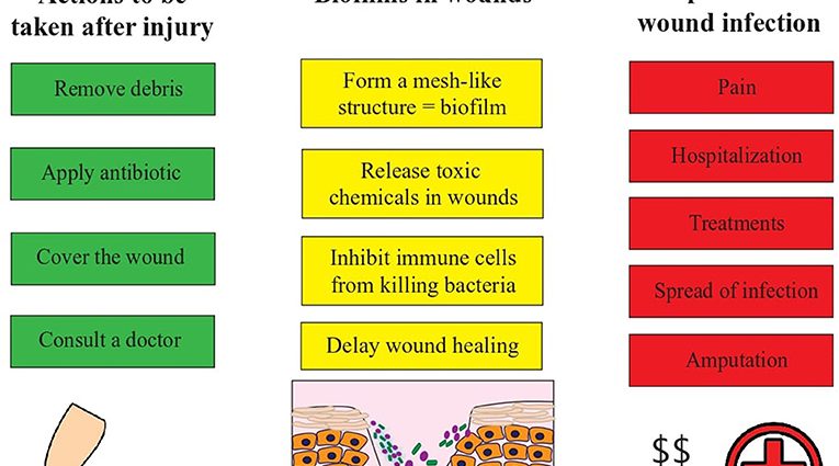 Can healers continue to infect? [WE EXPLAIN]