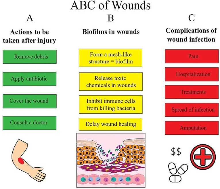 Can healers continue to infect? [WE EXPLAIN]