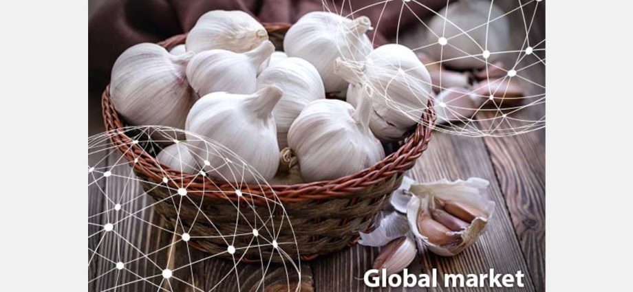 Can the next pandemic be predicted? Garlic can help