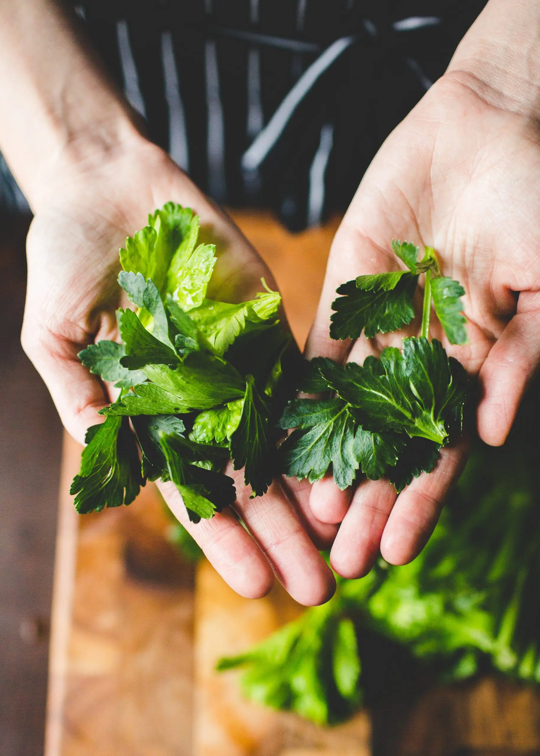 Can you eat celery leaves