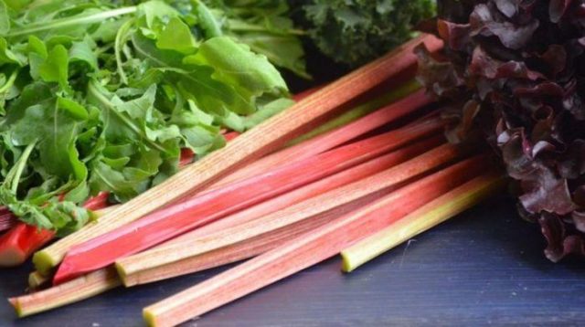 Can you freeze rhubarb