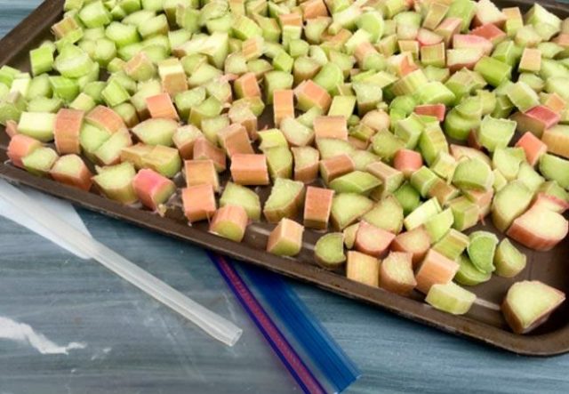 Can you freeze rhubarb