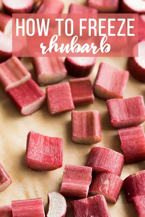 Can you freeze rhubarb