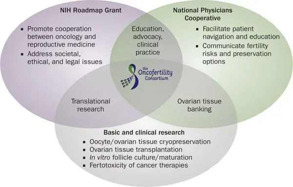 Cancer does not exclude motherhood. What is oncofertility?