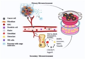 Cancer doesn&#8217;t just grow out of control. Has a smarter strategy