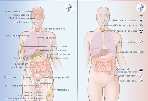 Cancer is not bad luck