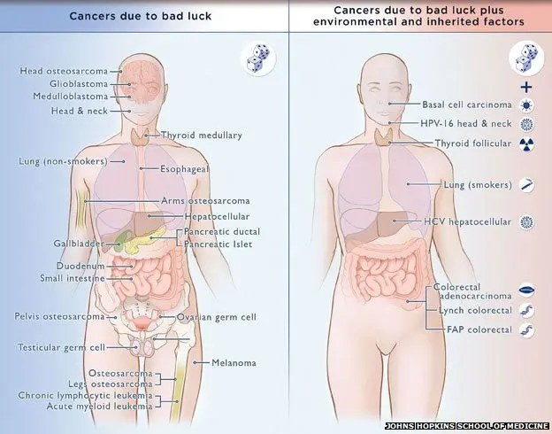 Cancer is not bad luck