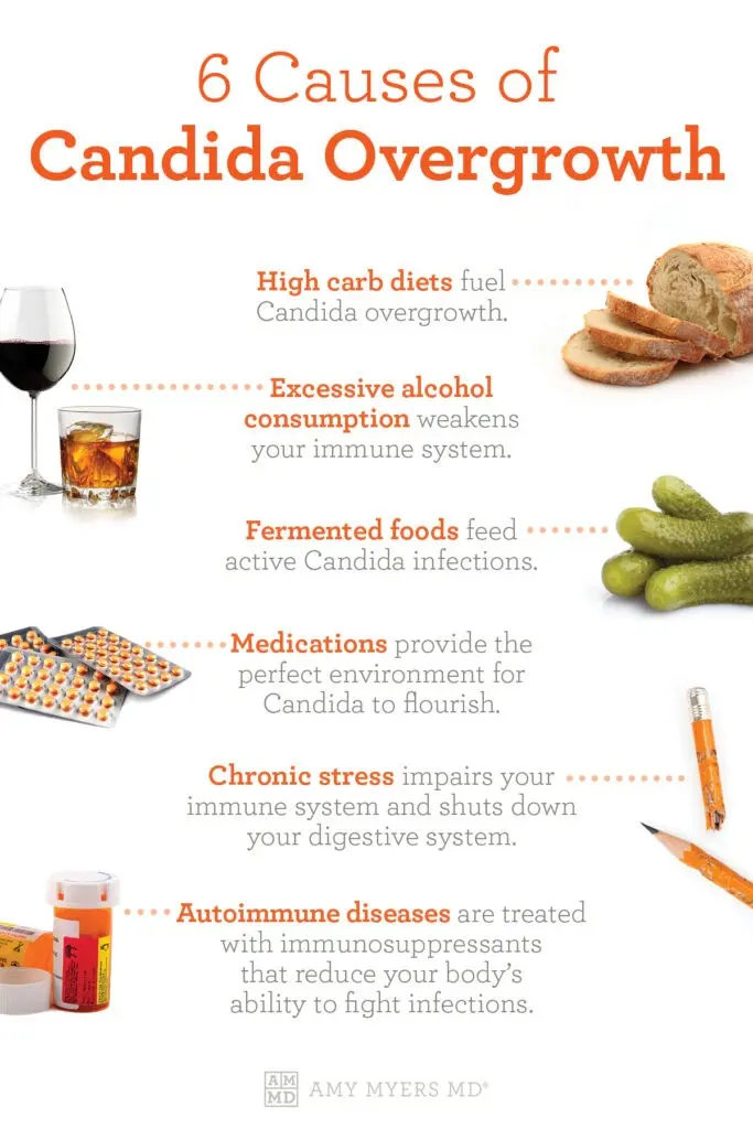 Candida albicans &#8211; symptoms of infection, causes, treatment, diet