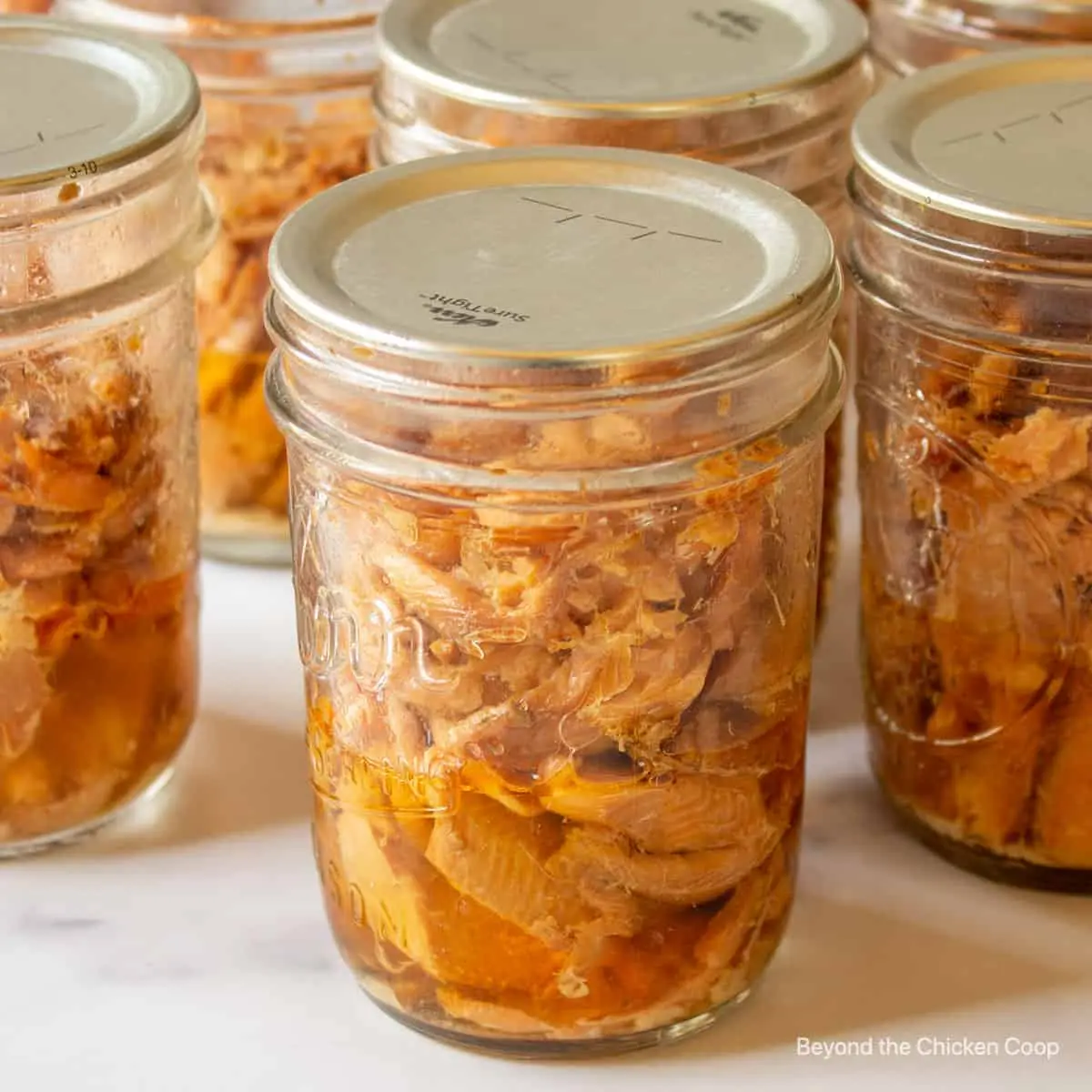 Canned fish for the winter at home