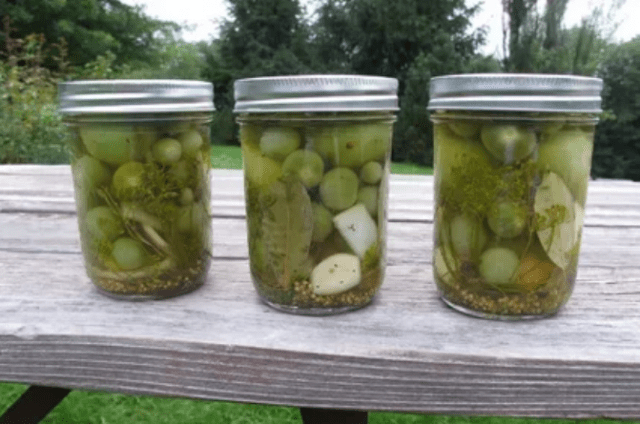 Canned Green Tomatoes: Winter Recipes