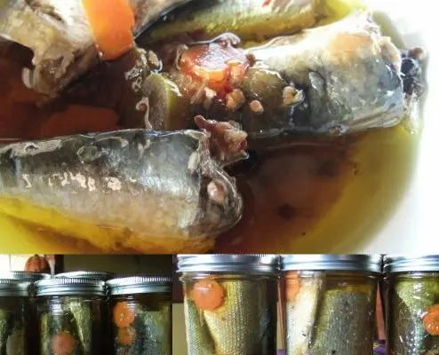 Canned mackerel with vegetables for the winter: 20 recipes