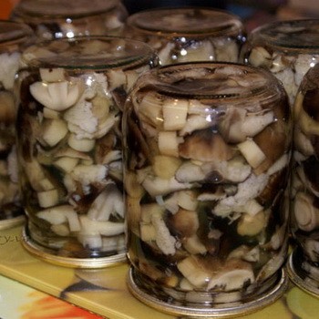 Canned rows: recipes for the winter