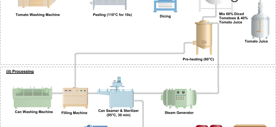 Canned tomatoes in apple juice without sterilization