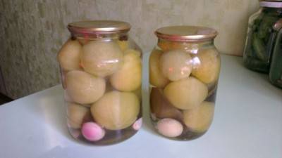 Canning green tomatoes for the winter without sterilization 