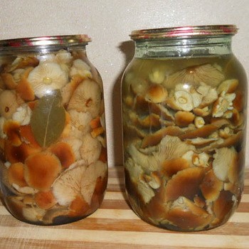 Canning mushrooms without vinegar: recipes for the winter