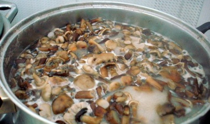 Canning mushrooms without vinegar: recipes for the winter