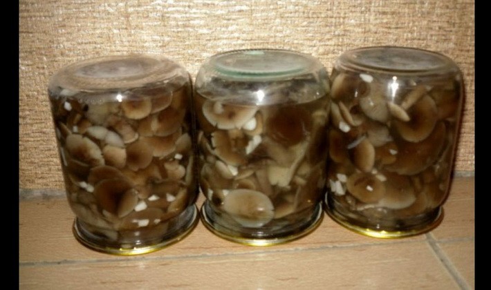 Canning mushrooms without vinegar: recipes for the winter