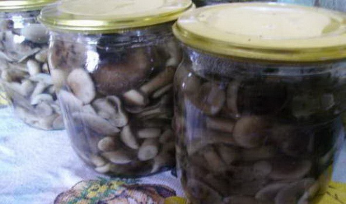 Canning mushrooms without vinegar: recipes for the winter