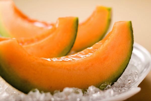 Cantaloupe melon: care and ripening time of the variety