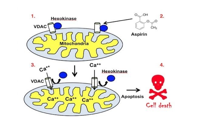 Carbonated aspirin has a stronger anti-cancer effect