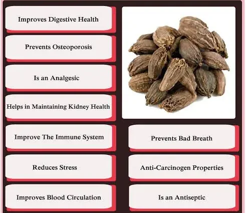 Cardamom &#8211; properties and use in the kitchen and first aid kit