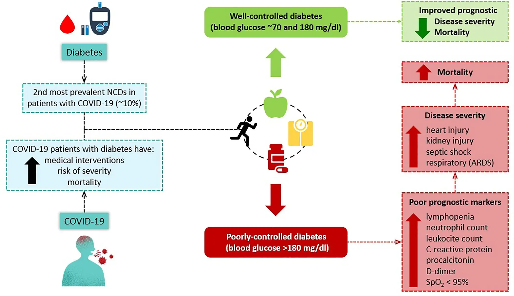 Cardiologist: A healthy lifestyle and diet reduce the risk of severe COVID-19