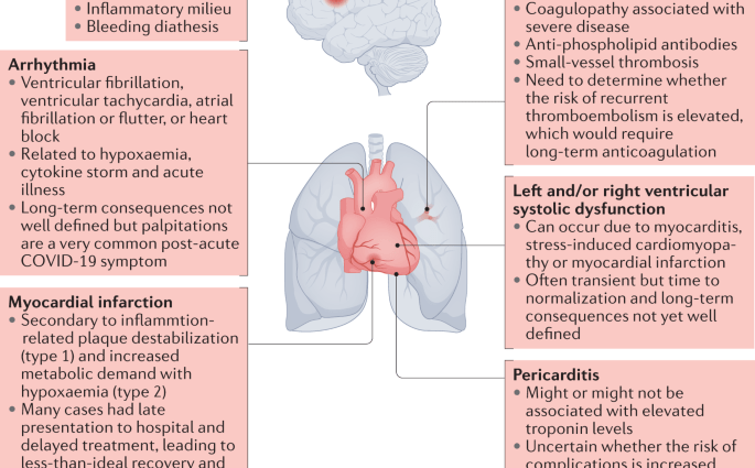 Cardiologists explain: these symptoms predict a heart attack. They even appear many months earlier