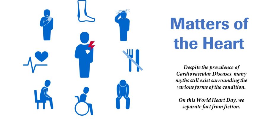 Cardiovascular diseases and harmful myths. Checking!